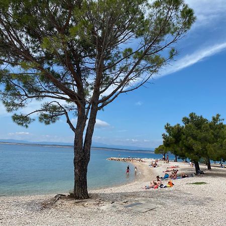 Family Apartments Vesna- 100 M Beach -Center Crikvenica Bagian luar foto