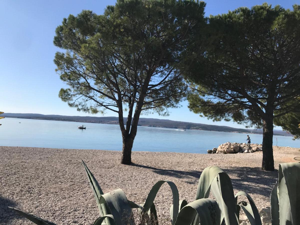 Family Apartments Vesna- 100 M Beach -Center Crikvenica Bagian luar foto