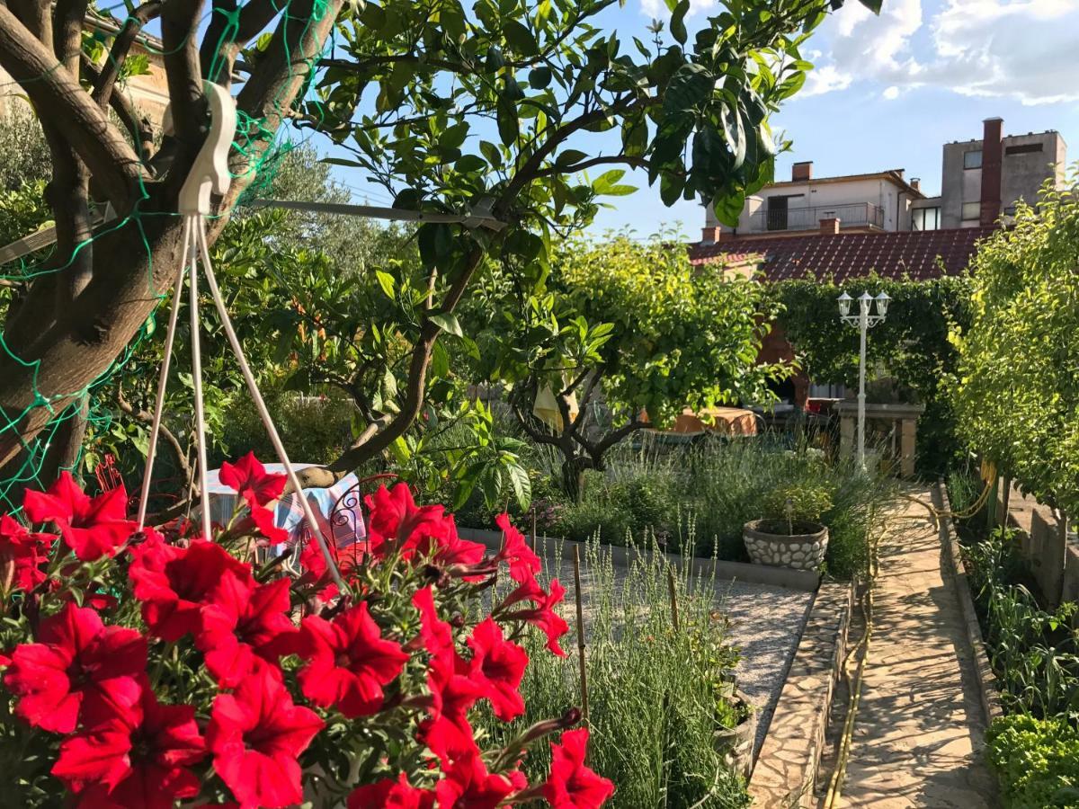 Family Apartments Vesna- 100 M Beach -Center Crikvenica Bagian luar foto